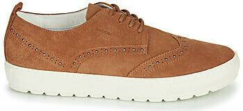 Geox Sneaker D BREEDA brown Sneakers