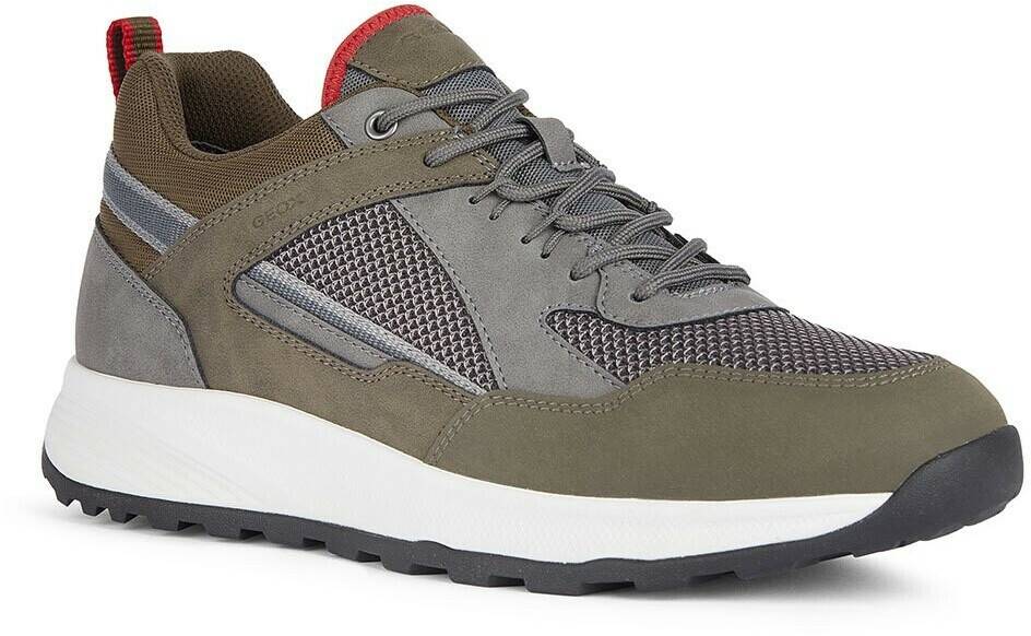 Geox Terrestre Trainers grey Sneakers