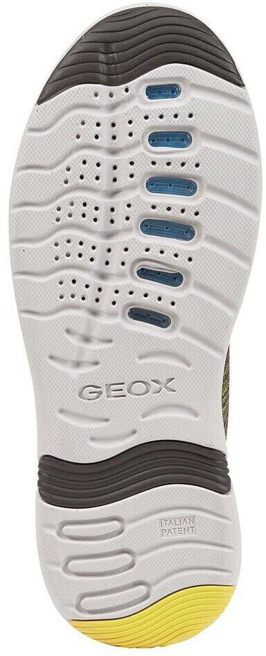 Geox Levita Trainers green U029XA06K22-C3010-41 Sneakers